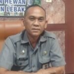 kadis pertanian lebak
