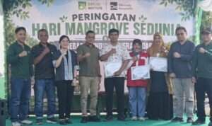 kkp-dukung-pemanfaatan-ruang-laut-untuk-lindungi-mangrove-populasi-kerang-dara-di-belitung-MJlm