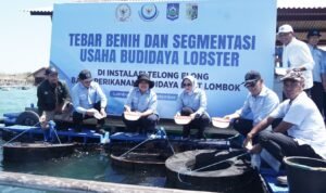kkp-dorong-kemajuan-ekosistem-budi-daya-lobster-di-lombok-timur-9DWD